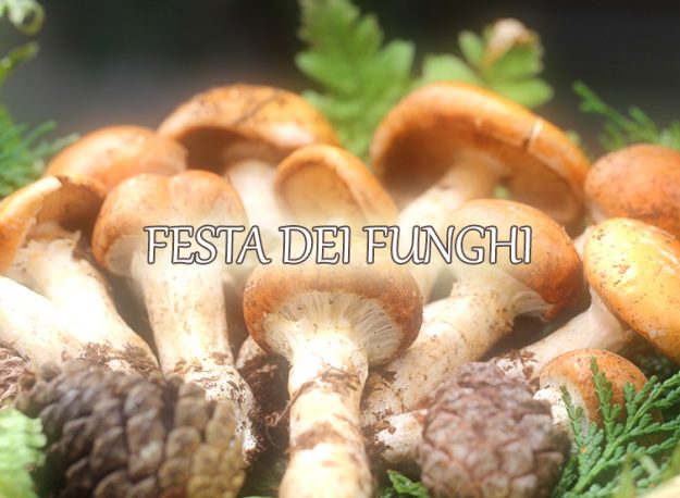 Festa-dei-Funghi