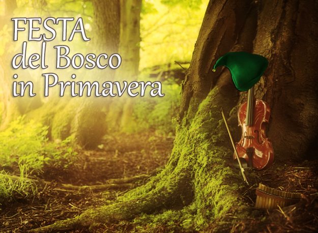 Festa del Bosco