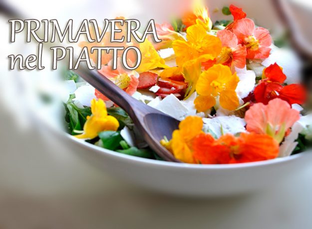 articolo-nuovo-Primavera Primavera nel Piatto