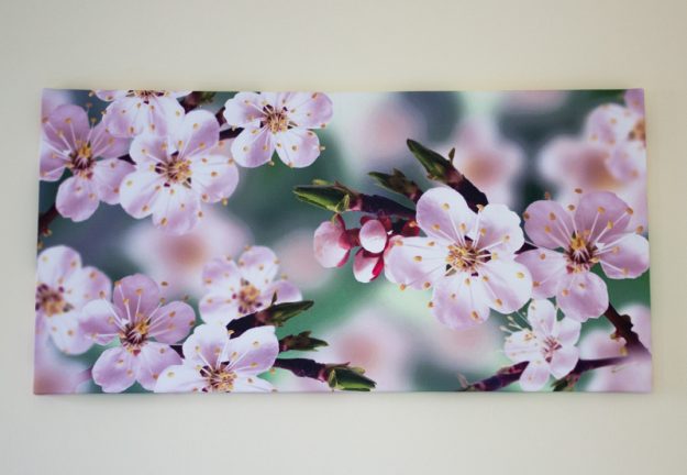 Fior di Pesco - AiGuiet