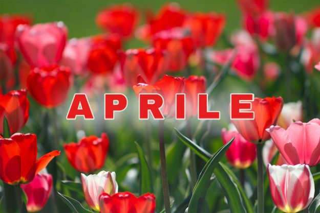 Benvenuto Aprile – AiGuiet Benvenuto Aprile - AiGuiet