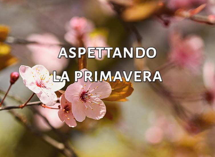 aspettando.la.primavera-agriturismo-aiguiet