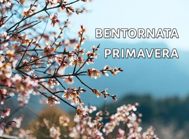 bentornata-primavera-agriturismo-aiguiet