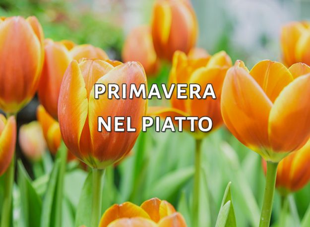 primavera-nel-piatto-agriturismo-aiguiet2