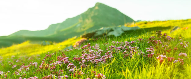 ferragosto-2020-aiguiet-copertina