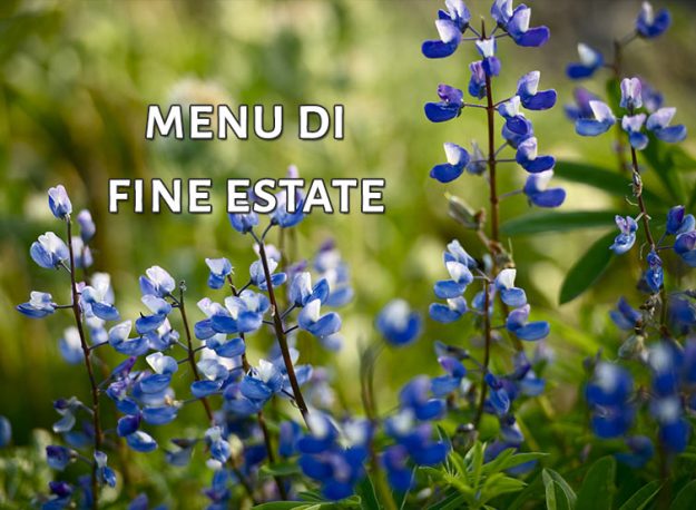 menu-di-fine-estate-2020-aiguiet