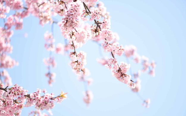 Soggiorno 3 notti Primavera 2023 Soggiorno 3 notti Primavera 2023