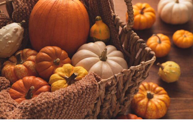 Menu novembre Menu novembre