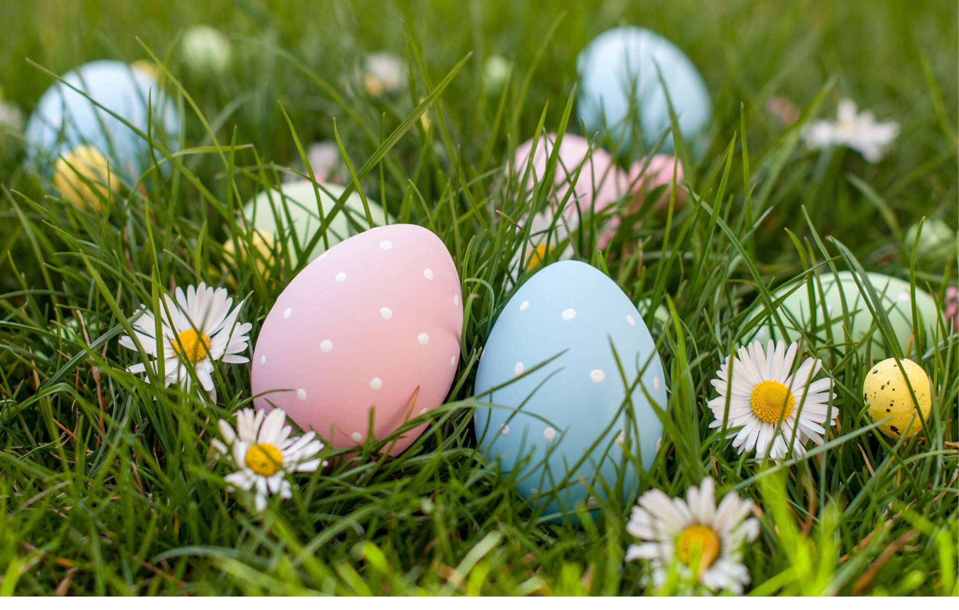 Pranzo di Pasqua e Pasquetta 2025